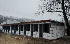 Поблизу Тернополя будують нові вольєри для безпритульних собак