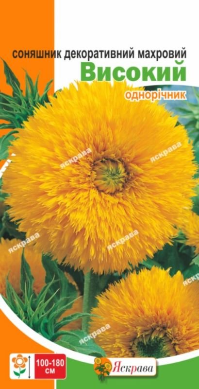 5dc60eeaf5df76075154a0e6028b3630