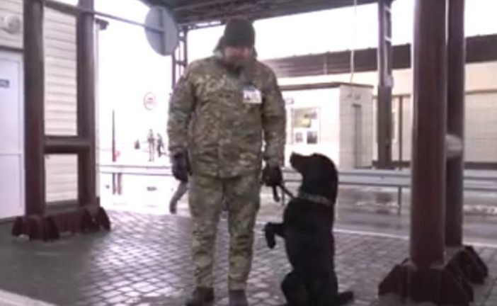 Собака прикордонників відповідає на гасло 