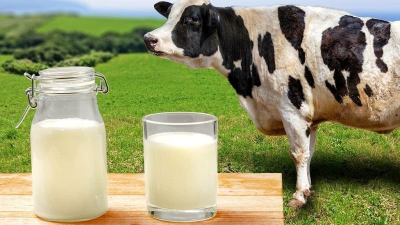 На Тернопільщині молоко в селян купують за низькими цінами