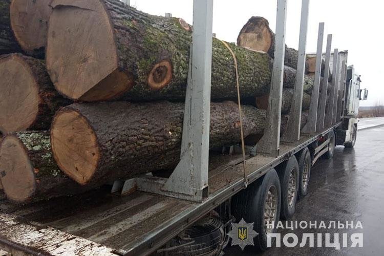 На Тернопільщині правоохоронці задокументували два факти незаконного перевезення деревини (ФОТО)