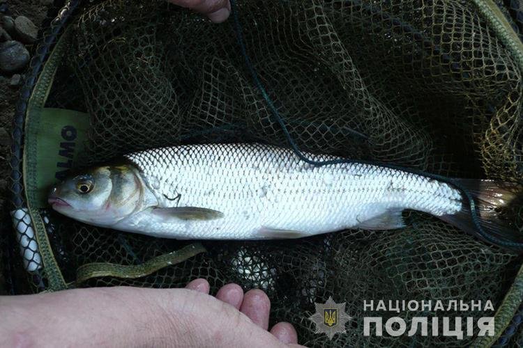 За вилов червонокнижної риби житель Тернопільщини відповідатиме перед законом