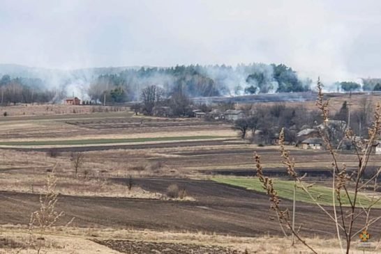 На Тернопільщині через масштабну пожежу сухої трави могли зайнятися лісопосадка та село (ФОТО)