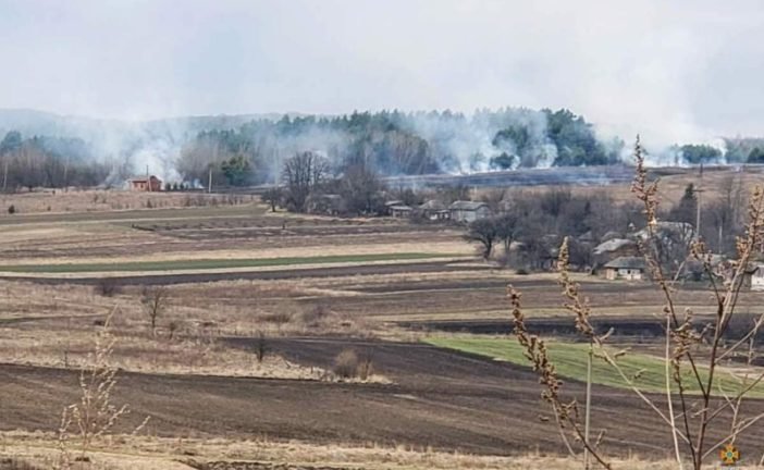 На Тернопільщині через масштабну пожежу сухої трави могли зайнятися лісопосадка та село (ФОТО)