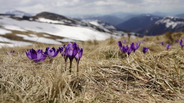 У неділю буде сонячно, але холодно