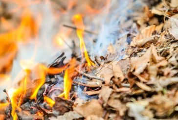На Тернопільщині пенсіонерка згоріла разом із сухим листям