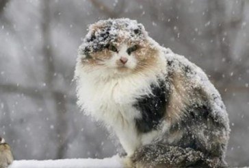 У понеділок Тернопільщину очікує значне похолодання і сніг