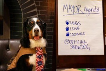Почесним мером американського міста став... пес