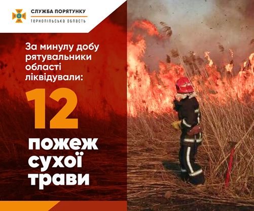 Підпалам карантин не завада: на Тернопільщині продовжує горіти суха трава