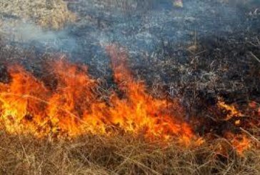 На Тернопільщині через спалювання сухої трави могли згоріти 7 житлових будівель