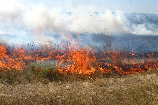 На Тернопільщині вже згоріло 240 гектарів сухої трави