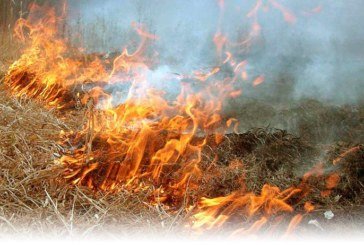 Житель Чортківщини, ймовірно, загинув через спалювання сухої трави