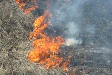 На Тернопільщині й далі гектарами горить суха трава