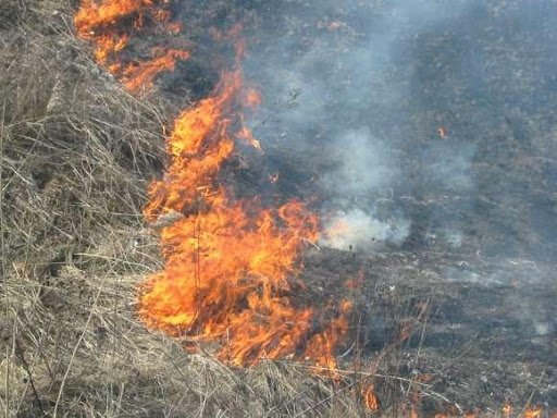 На Тернопільщині й далі гектарами горить суха трава