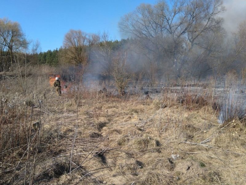 На Кременеччині через підпал сухої трави могло згоріти 40 гектарів лісу