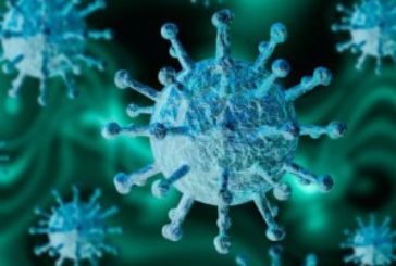 МОЗ змінило розклад публікації даних щодо коронавірусу: вечірніх зведень не буде