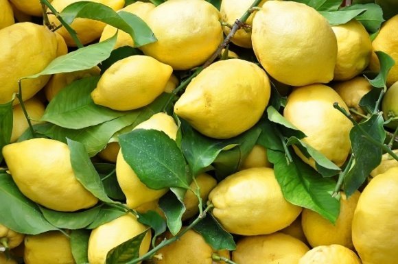 Туреччина заборонила експорт лимонів до кінця літа