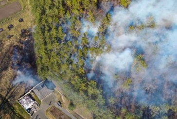 На Тернопільщині тричі за два дні горів Івачівський ліс (ФОТО)