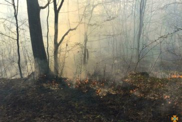 На Тернопільщині через паліїв сухої трави могли згоріти 12 будівель та 55 гектарів лісу (ФОТО)