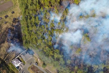 Палаюча недбалість: у пожежі - Чорнобиль, вигорають тернопільські ліси