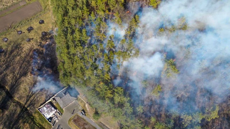 Палаюча недбалість: у пожежі – Чорнобиль, вигорають тернопільські ліси