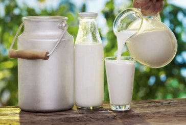 Дешево закуповували молоко в селян на Тернопільщині