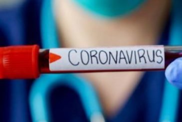 Китайські вчені: коронавірус існував ще до спалаху на ринку в Ухані