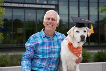 У США собака отримав почесне звання доктора наук