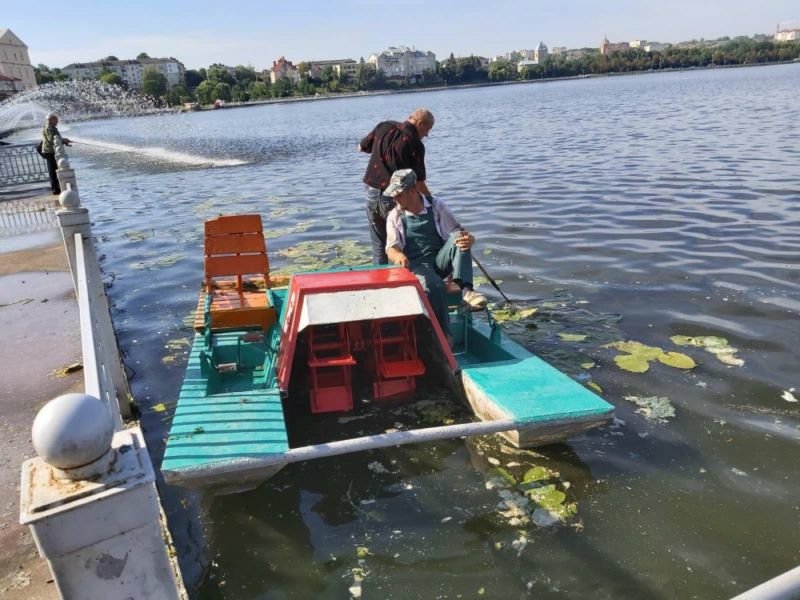 Тернопільський став очищають від водоростей та сміття