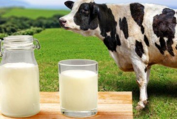 На Тернопільщині й далі в селян купують молоко за низькими цінами