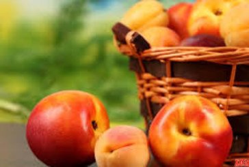Десерти з абрикосів і персиків: 12 рецептів з ароматом літа