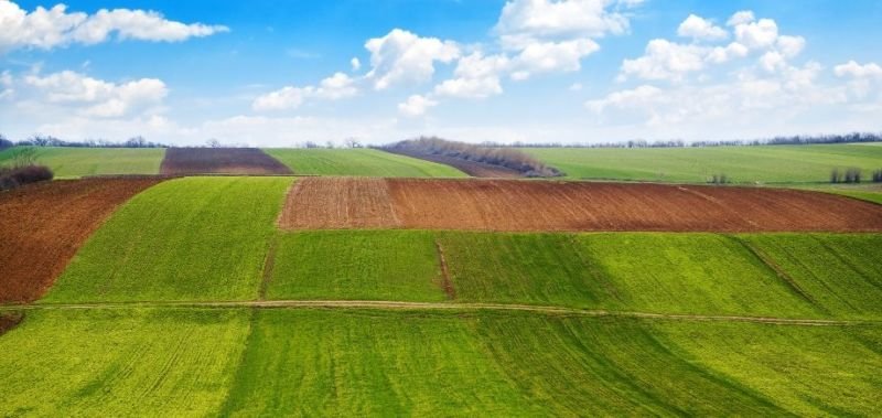 У тіньовому обробітку в Україні – 8 мільйонів гектарів землі