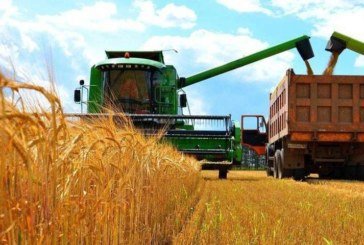 «Урожай-2020»: сільгоспвиробники Тернопільщини підвищили зарплату працівникам