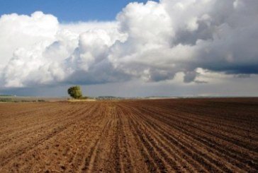 На Тернопільщині деякі сільгоспвиробники ухилялись від сплати ПДВ