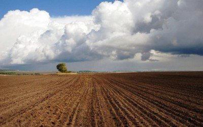 На Тернопільщині деякі сільгоспвиробники ухилялись від сплати ПДВ