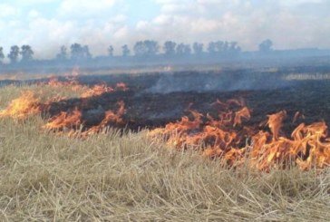 На Чортківщині горів ячмінь та стерня