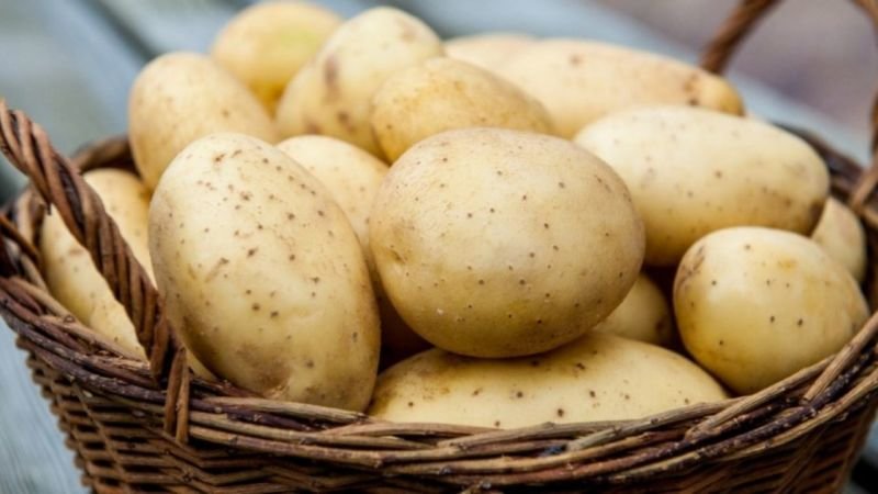 На Шумщині збирають картоплю на потреби лікарні