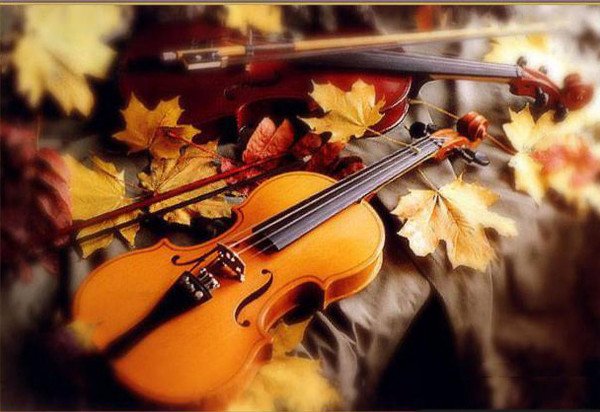 Маестро, скрипка і осінній кіт
