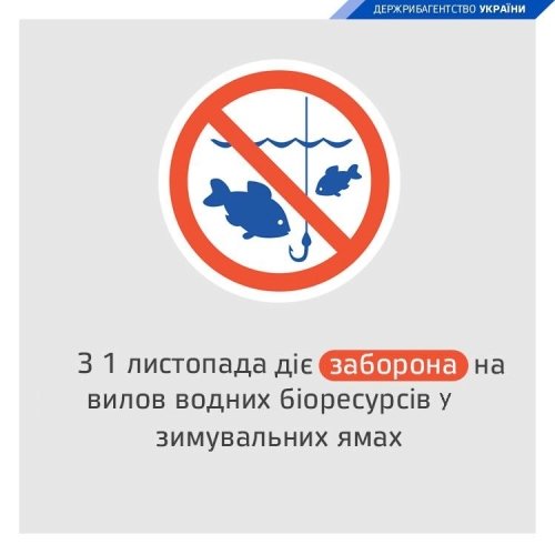 На Тернопільщині з 1 листопада заборонено ловити рибу в зимувальних ямах