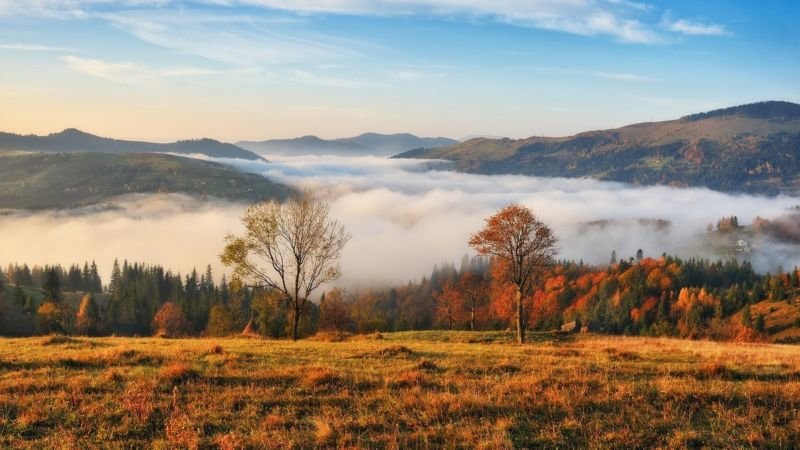 Понеділок буде похмурим, але по-осінньому теплим