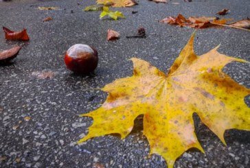 В Україну повертається осіннє тепло