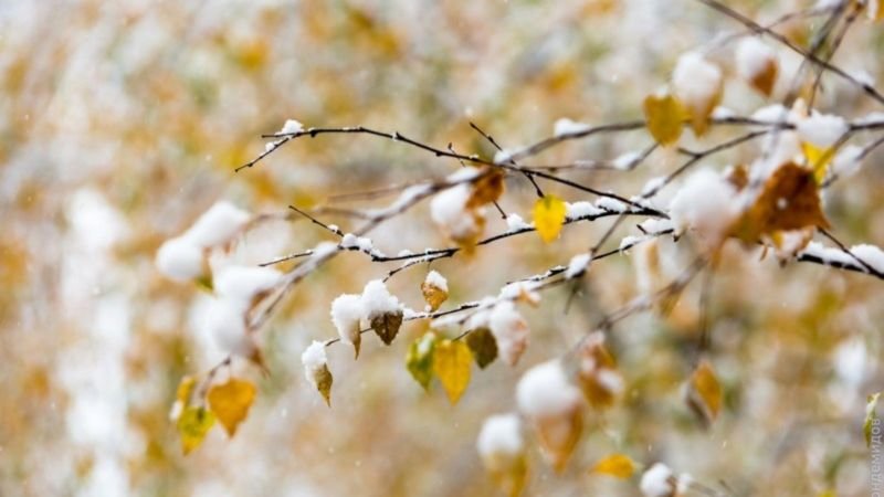 На Тернопільщині в неділю буде морозно і можливий сніг