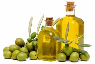 Чи корисна оливкова олія і як обрати справжню?