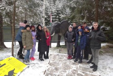 Діти учасників АТО/ ООС з Тернополя відпочивають у Карпатах (ФОТО)