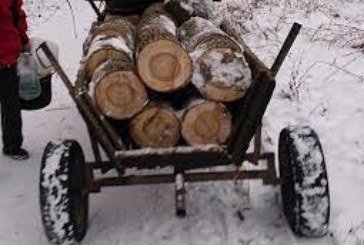 Житель Зборівщини сильно травмувався, впавши з фіри з дровами