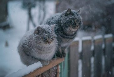 Сьогодні - найкоротший день у році: якою буде погода