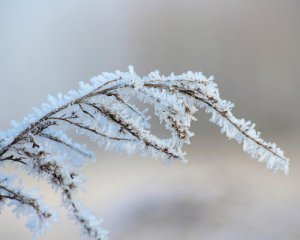 Якою погодою мешканців Тернопільщини здивує січень