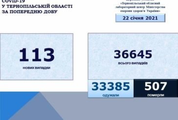 На Тернопільщині за добу виявили 113 нових випадків захворювання на коронавірус, одна людина померла