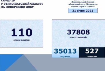 На Тернопільщині за добу виявили 110 нових випадків захворювання на коронавірус, одна людина померла