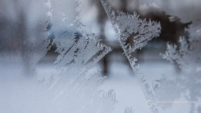 На Україну насуваються морози   